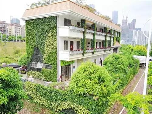 建大花园三期最新消息，揭开未来的居住新篇章